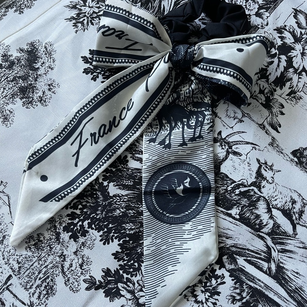 France 🇫🇷 bow